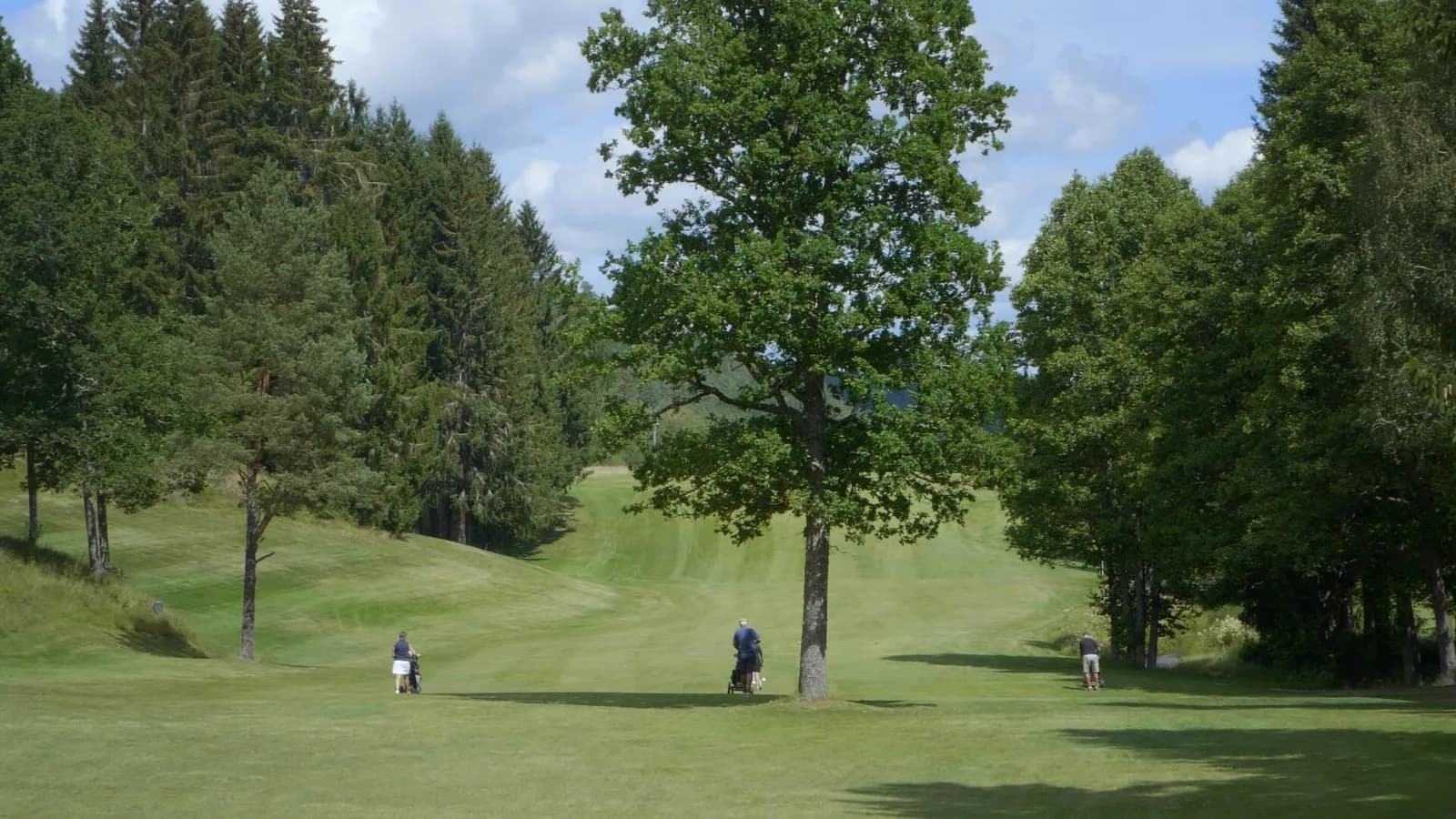 Golfers on a tree-lined fairway at Arendal & Omegn Golf Club on a summer day