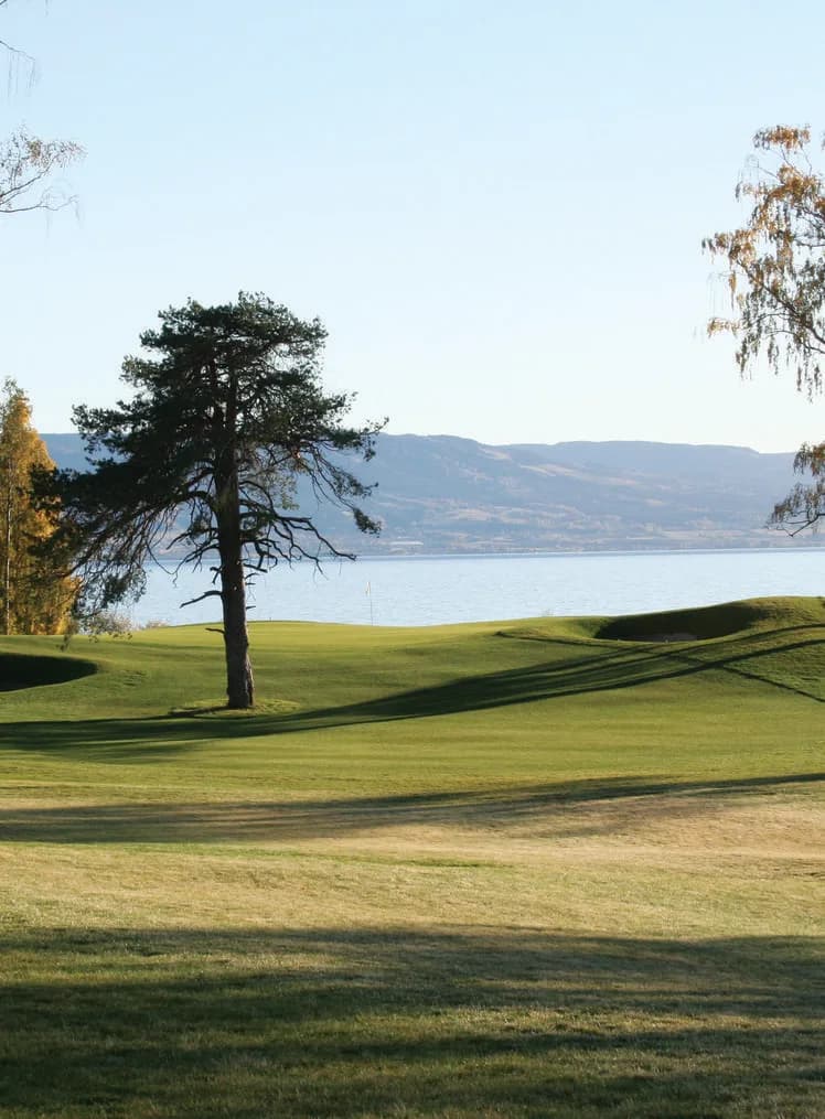 Fairway with pine trees and view over Lake Mjøsa at Atlungstad Golf Club in Innlandet