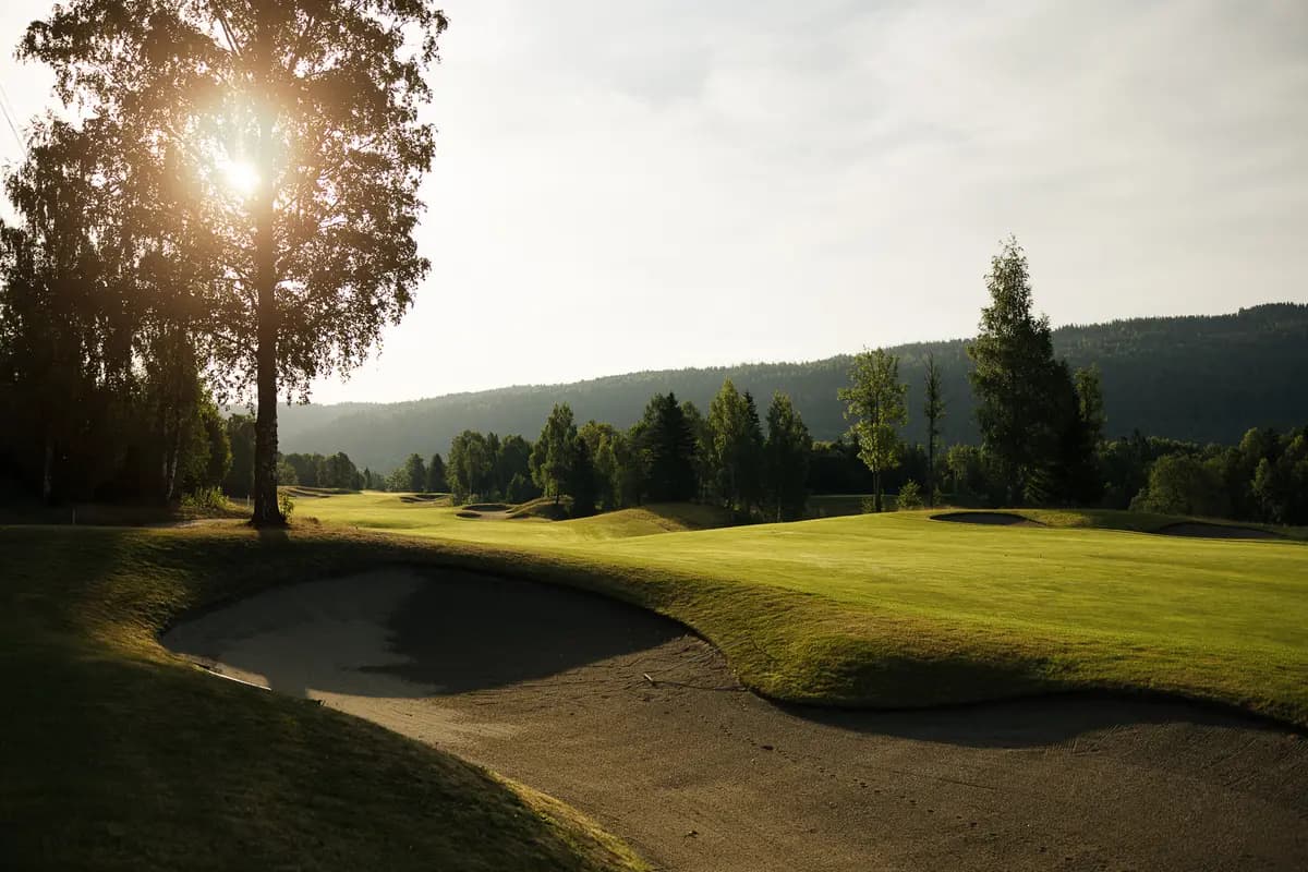 Bunker with sun rays through birch trees at Baerum Golf Club