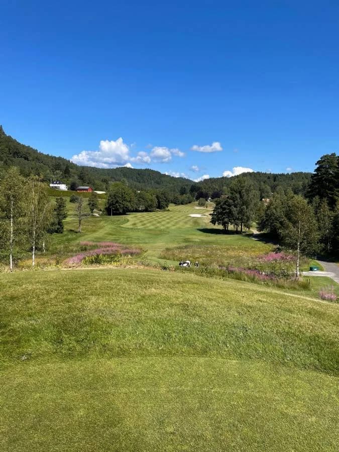 Fairway at Bjaavann Golf Club in rolling forest terrain with green hillside landscape and birch trees