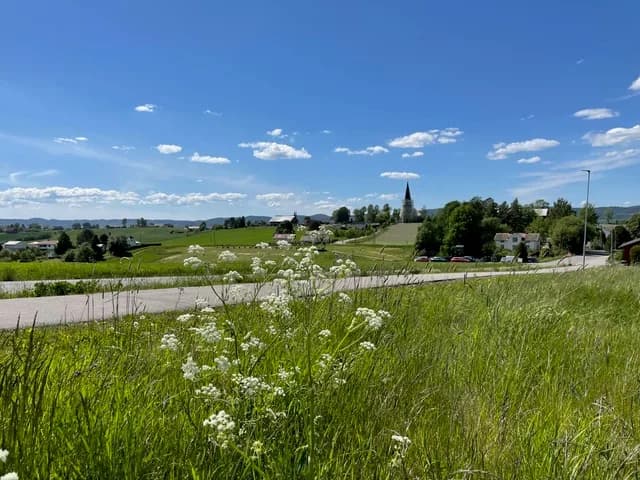 View from Fet Golf Club with church spire and flowers in the foreground