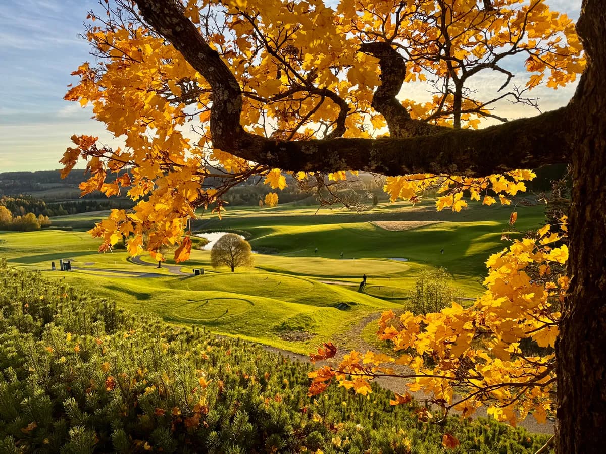 Hauger Golf Club in autumn colours with golden leaves, fairways and water hazard seen from the hillside