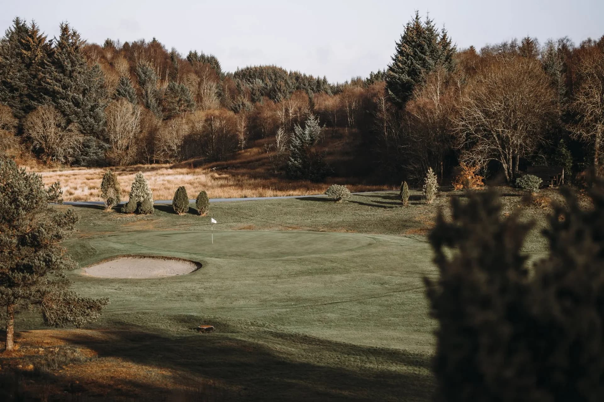 Fairway at Haugesund Golf Club with green terrain and trees in the background