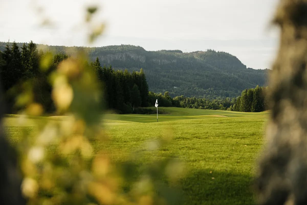 Green with flag at Holtsmark Golf Club seen through foliage with mountain panorama in the background