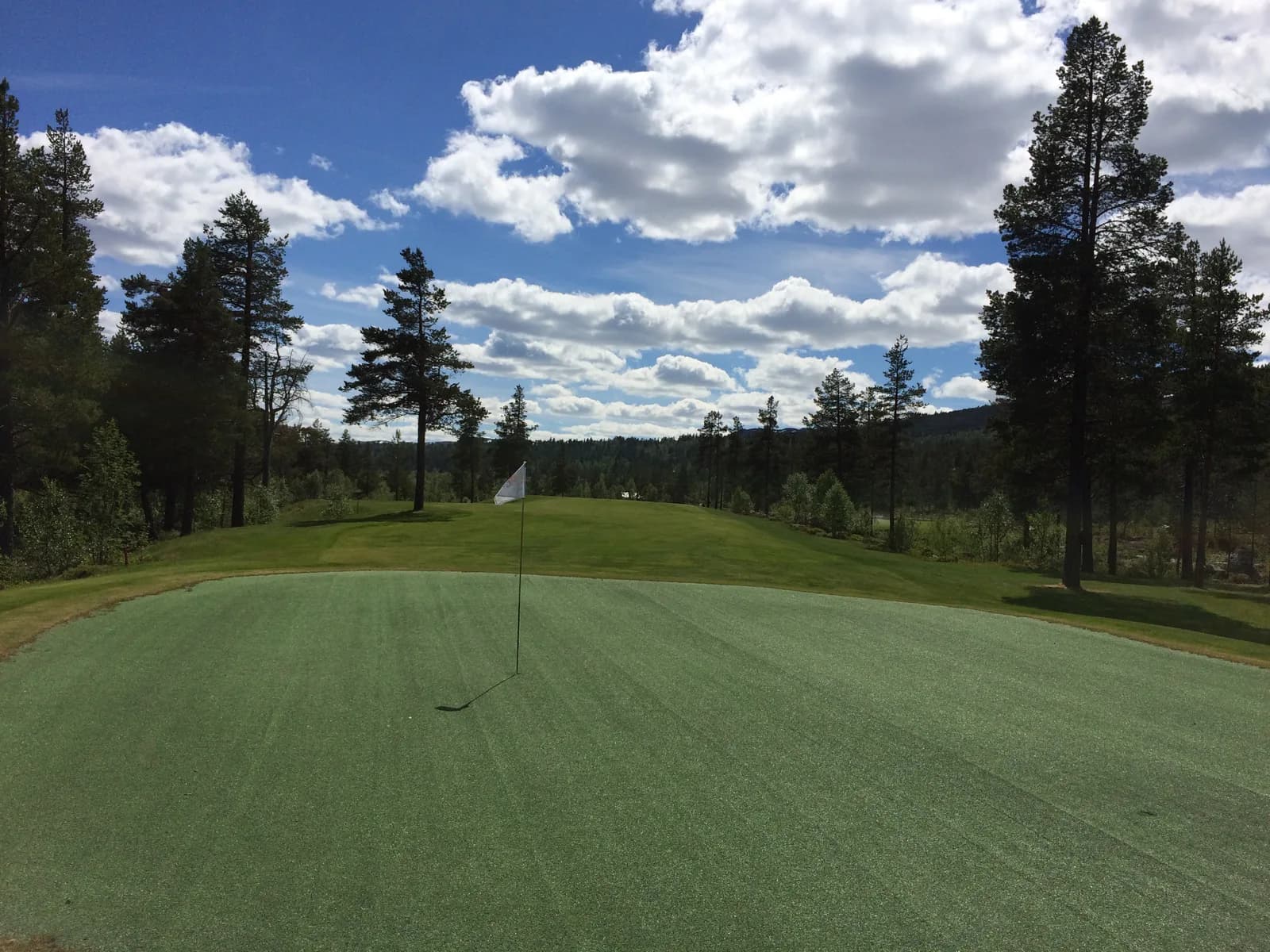 Green on hole 8 at Hovden Golf Club surrounded by pine trees and blue sky