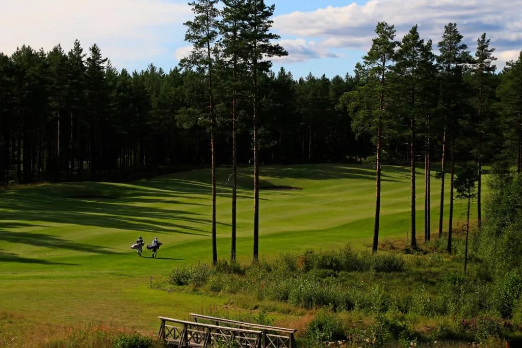 Hole 2 at Kongsvinger Golf Club with fairway through dense spruce forest in Innlandet