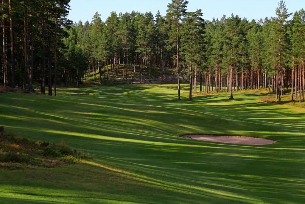 Hole 3 at Kongsvinger Golf Club with tee box surrounded by tall pine trees in natural forest terrain