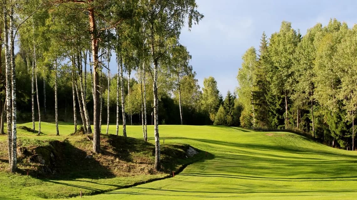 Hole at Krokhol Golf Club with panoramic view over forest terrain