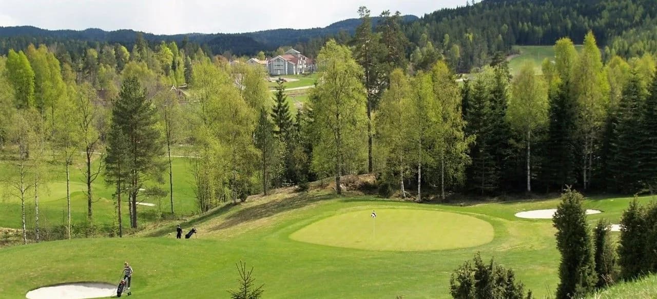 Hole 5 on Vestmork 9-hole course, Losby Golf Club - view from the tee with fairway and forest