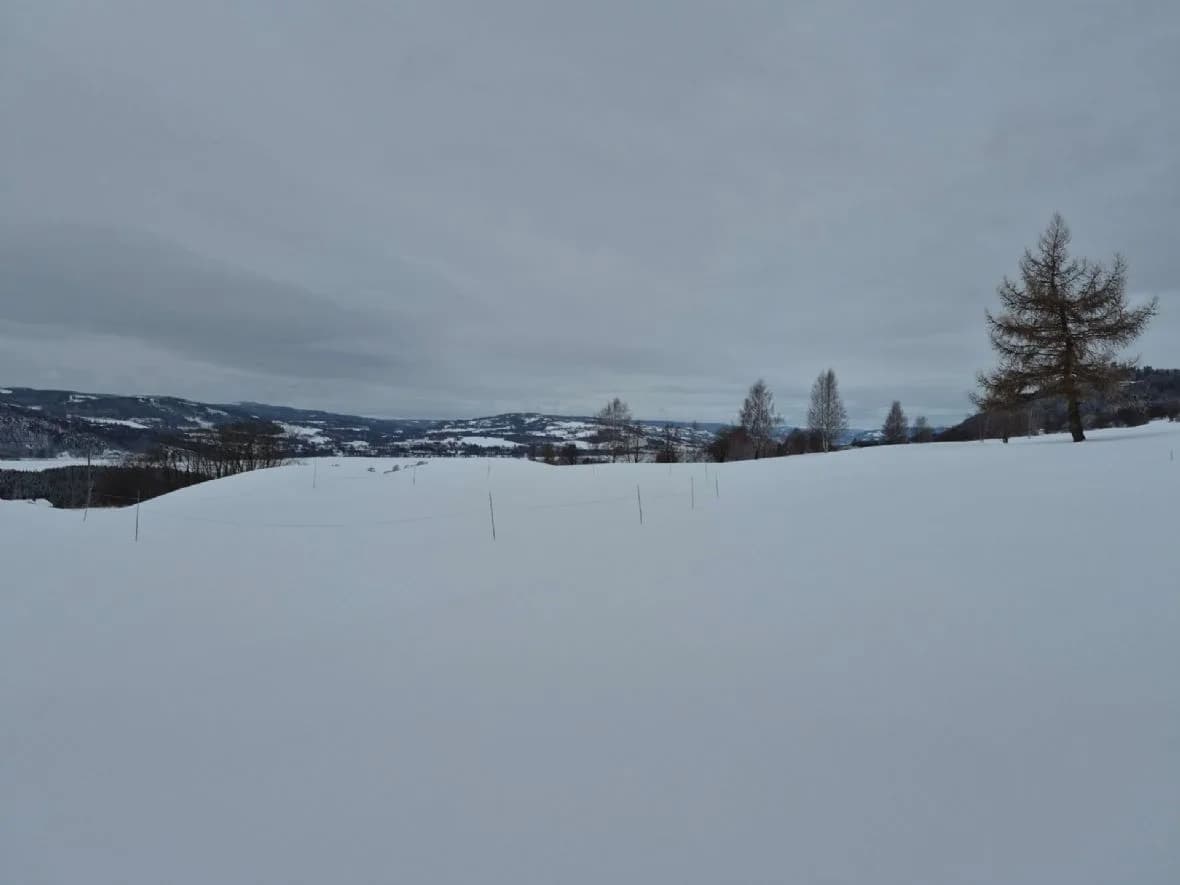 Mjøsen Golf Club on a winter day with snow on fairways and greens