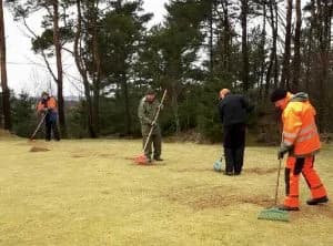 Green at Nordvegen Golf Club during maintenance with players and forest terrain