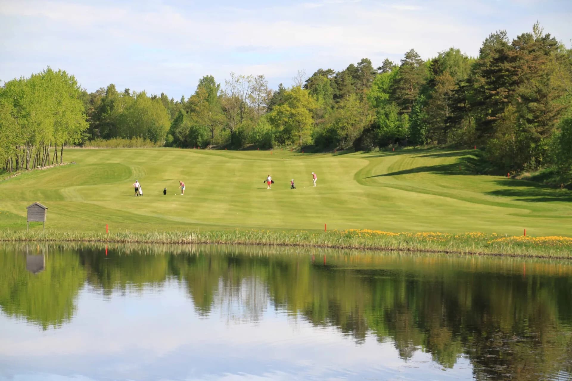 Fairway at Sandefjord Golf Club surrounded by lush forest terrain and natural bunkers