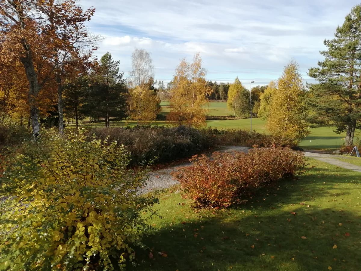 Autumn colours at Ski Golf Club Smerta with yellow and orange foliage along the parkland course