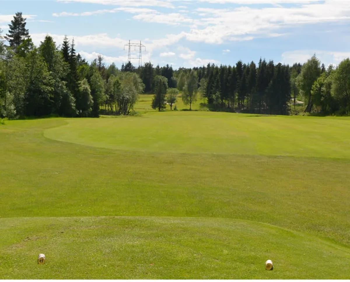Hole 2 at Ski Golf Club Smerta with wide fairway surrounded by conifer forest on a summer day