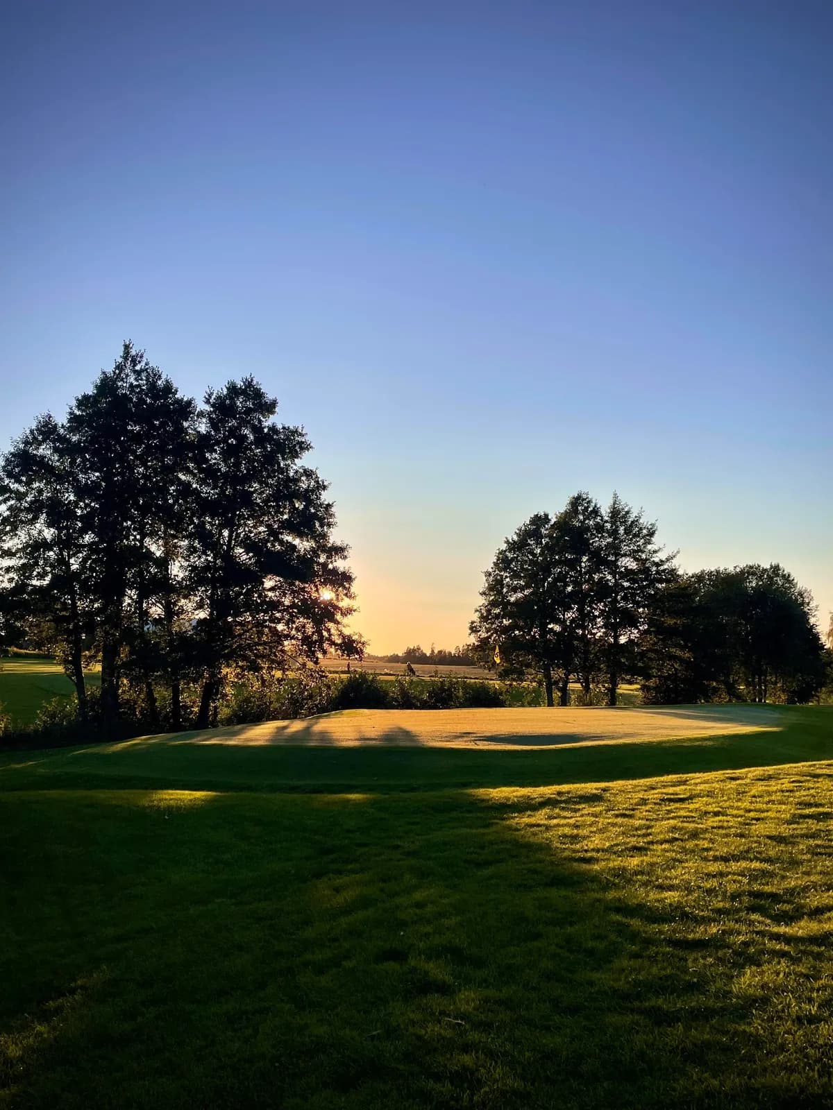 Green at Ski Golf Club Smerta in late summer light with trees and long shadows at sunset