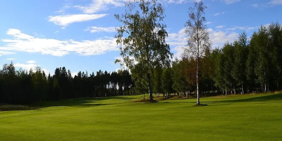 Hole 14 at Stiklestad Golf Club with fairway through scenic forest terrain